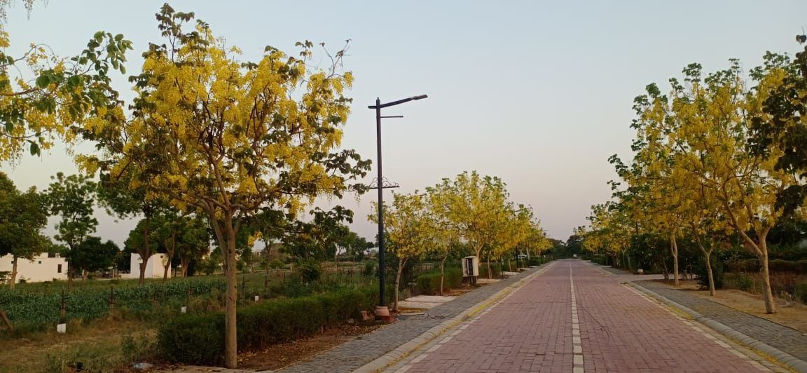 Raheja Aranya City — project view